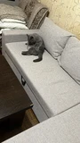 Фото из отзыва покупателя