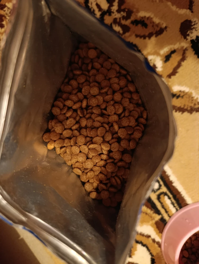 Фото из отзыва